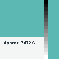 Color chip: Approx. 7472 C