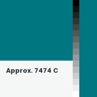 Color chip: Approx. 7474 C