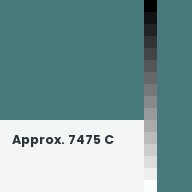 Color chip: Approx. 7475 C