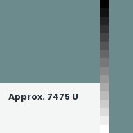 Color chip: Approx. 7475 U