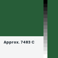 Color chip: Approx. 7483 C