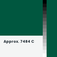 Color chip: Approx. 7484 C