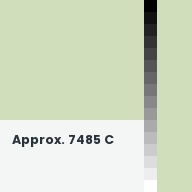Color chip: Approx. 7485 C
