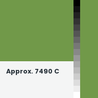 Color chip: Approx. 7490 C