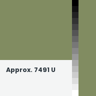 Color chip: Approx. 7491 U