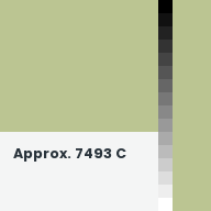 Color chip: Approx. 7493 C