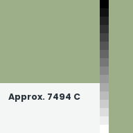 Color chip: Approx. 7494 C