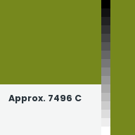 Color chip: Approx. 7496 C
