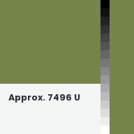 Color chip: Approx. 7496 U