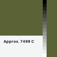 Color chip: Approx. 7498 C