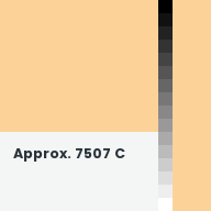 Color chip: Approx. 7507 C