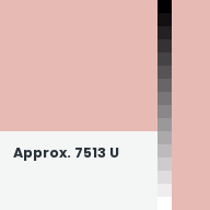 Color chip: Approx. 7513 U