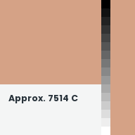 Color chip: Approx. 7514 C