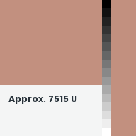Color chip: Approx. 7515 U