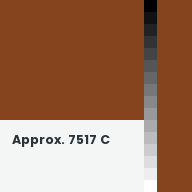 Color chip: Approx. 7517 C