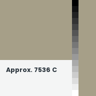 Color chip: Approx. 7536 C