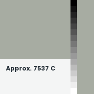 Color chip: Approx. 7537 C