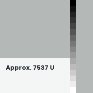Color chip: Approx. 7537 U