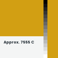 Color chip: Approx. 7555 C