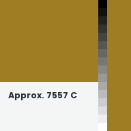 Color chip: Approx. 7557 C