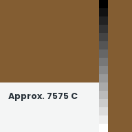 Color chip: Approx. 7575 C