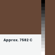 Color chip: Approx. 7582 C