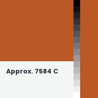 Color chip: Approx. 7584 C