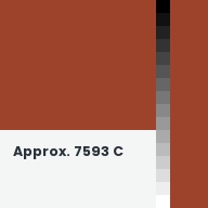 Color chip: Approx. 7593 C