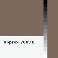 Color chip: Approx. 7603 U