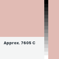 Color chip: Approx. 7605 C