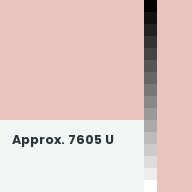 Color chip: Approx. 7605 U