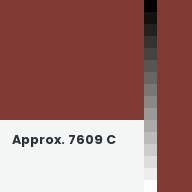 Color chip: Approx. 7609 C