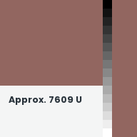 Color chip: Approx. 7609 U