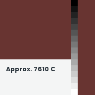 Color chip: Approx. 7610 C