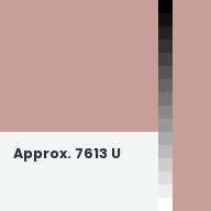 Color chip: Approx. 7613 U