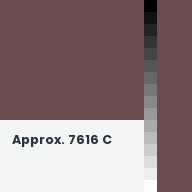 Color chip: Approx. 7616 C