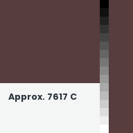 Color chip: Approx. 7617 C