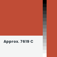 Color chip: Approx. 7619 C