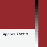 Color chip: Approx. 7622 C