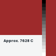 Color chip: Approx. 7628 C
