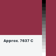 Color chip: Approx. 7637 C