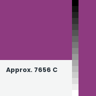 Color chip: Approx. 7656 C