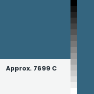 Color chip: Approx. 7699 C