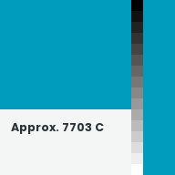 Color chip: Approx. 7703 C
