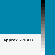 Color chip: Approx. 7704 C