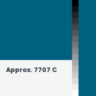 Color chip: Approx. 7707 C