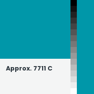 Color chip: Approx. 7711 C