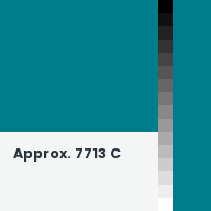 Color chip: Approx. 7713 C