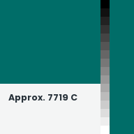 Color chip: Approx. 7719 C