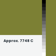 Color chip: Approx. 7748 C
